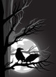 Crows