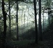 Sonnenstrahlen im Herbst