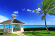 gazebo and palm tree