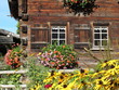 Hausecke  altes Bauernhaus mit zwei Fenstern und Blumen
