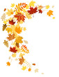Autumn leaves  swirl