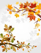 Autumn forest