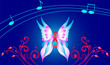 magic night butterfly
