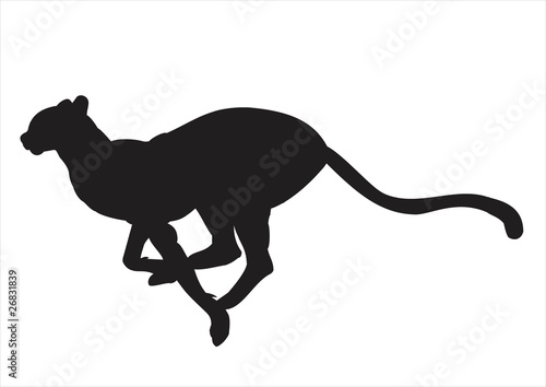 cheetah silhouette