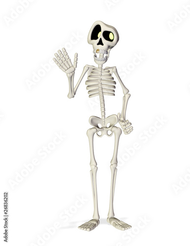 human skeleton cartoon. skeleton cartoon hi