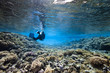 Scubadiving and coral Scubadiving and coral
