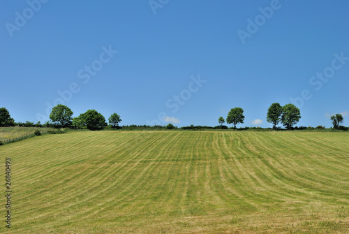 Photo: Campagne Campagne