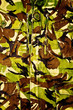 Camouflage coat