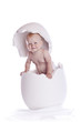 baby in egg on white