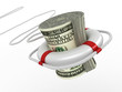 Lifebouy with dollar