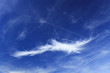 blue sky