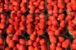étal de fraises au marché étal de fraises au marché