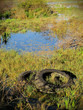 Photo: pollution pollution