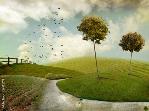 Photo: Autumn landscape Autumn landscape
