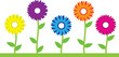 Colorful Flowers