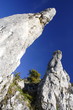 Steinerne Jungfrauen / Eselsburger Tal