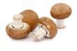 Foto: Four brown mushrooms Four brown mushrooms