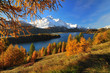 Silsersee im Engadin an einem schönen Herbsttag
