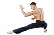 Muscular ultimate fighter Muscular ultimate fighter