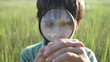 magnifier