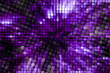 DVM2