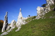 Steinerne Jungfrauen / Eselsburger Tal