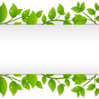 Background With Green Branches Background With Green Branches