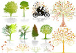 Autumn time background - vector tree