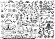 Collection of floral element - vector