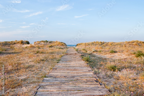 Photo: Path to the beach Path to the beach