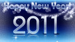 NHY 2011 blue