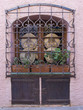 collioure 51