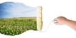 Photo: Roller paint nature landscape. Roller paint nature landscape.