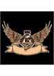 Vector engine with wings