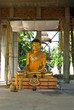 buddha status