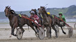 Trot attelé à Plestin Trot attelé à Plestin