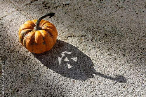 Photo : L'Ombre d'Halloween - Faisceau lumière L'Ombre d'Halloween - Faisceau lumière
