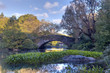 Central Park in early autumn Central Park in early autumn