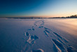 Winterlandschaft