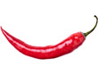 Red Hot Chili Pepper