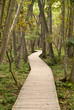 Wald
