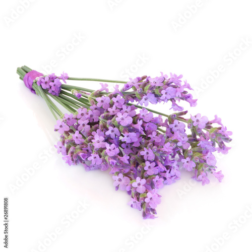 Photo: Lavender Herb Flower Posy Lavender Herb Flower Posy