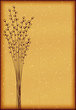 greeting card design