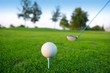 Golf tee ball club driver in green grass course Golf tee ball club driver in green grass course