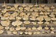 Mushrooms