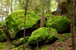 Beskid niski