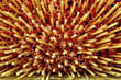 Abstract Incense [Shaft] Layered deposits