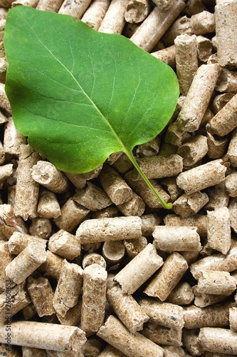 Foto: Wood Pellets & Green Leaf Wood Pellets & Green Leaf