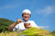 農業　豊作　米　ライス　食べる　日本人