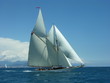 Classic under full sail